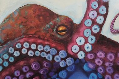 Colorful painting of a squid by Hillary