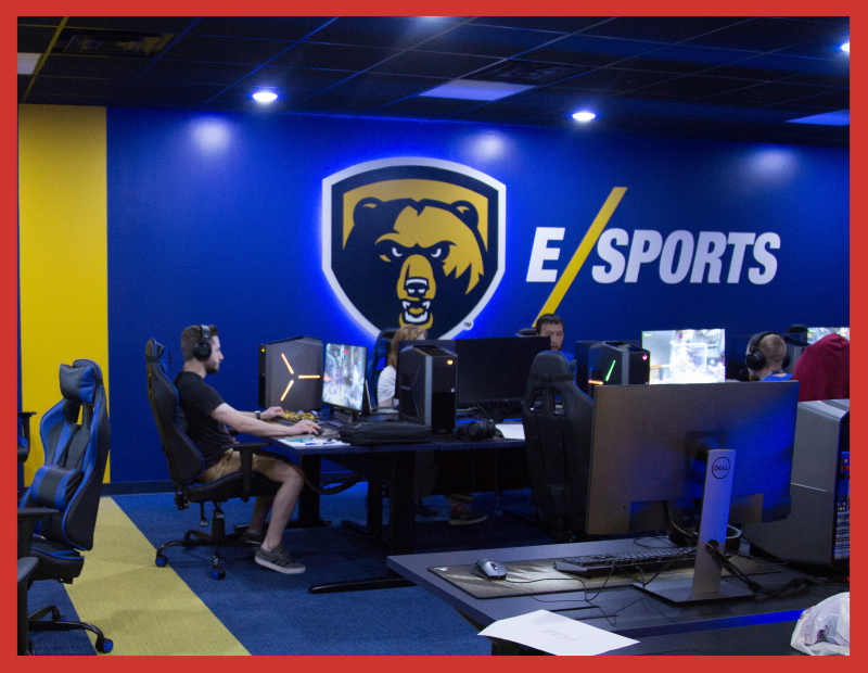 The dedicated esports room is awesome, with mood lighting, a giant bear graphic on the wall, gaming chairs, and state-of-the-art gaming Pcs.