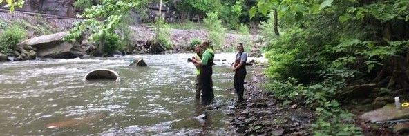 Tech student Katie Stanley works with local conservationists in a local stream project.